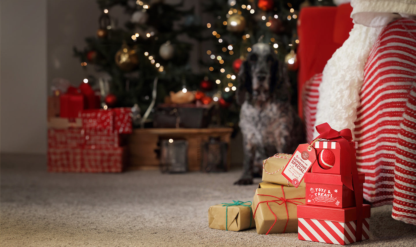 Pet Gifts & Hampers