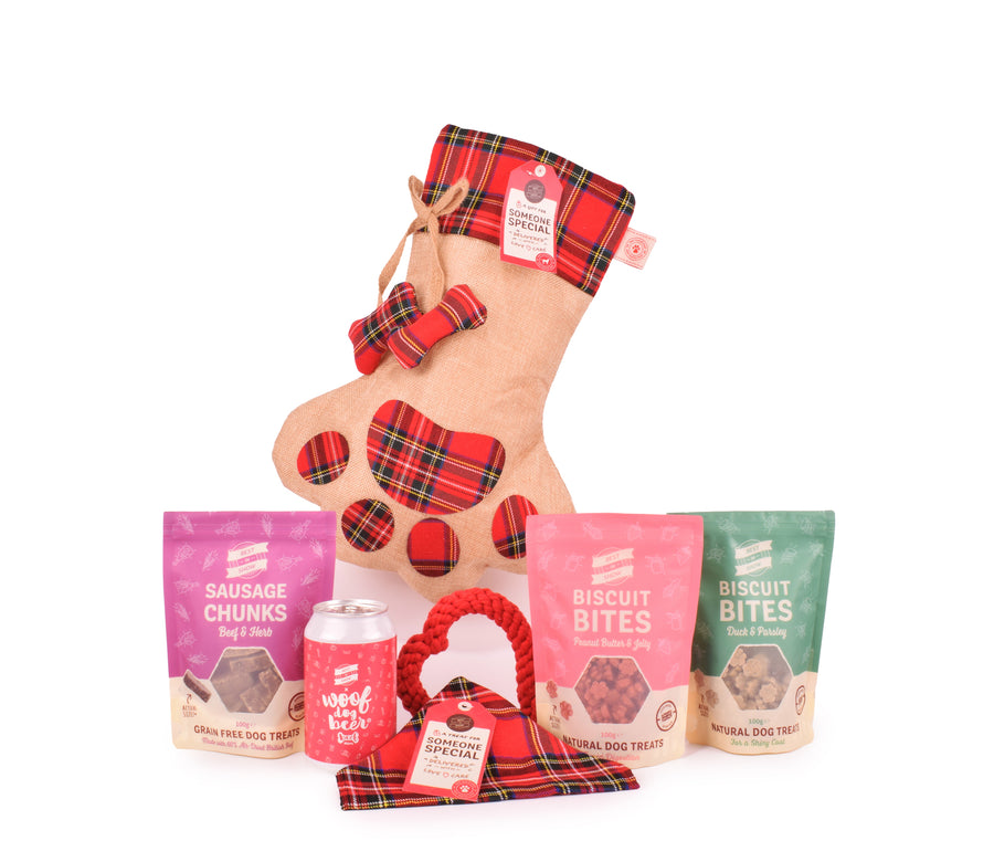 Best In Show Doggie Delights Stocking