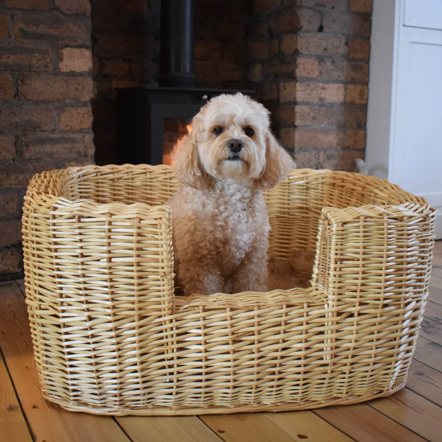 Best In Show - Winston Wicker Pet Bed (Medium)